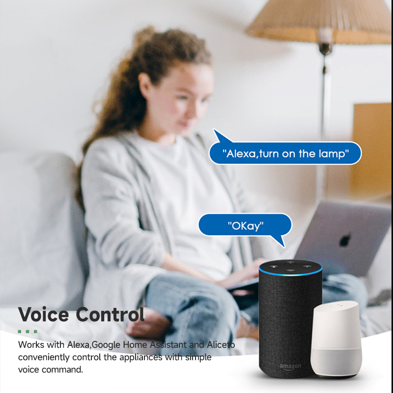 ทูย่าสมาร์ทไวไฟสวิตช์โมดูล 16A - Smart Light Switch Wifi บทวิจารณ์และราคา